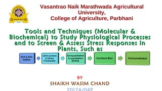 Vasantrao Naik Marathwada Agricultural
University,
College of Agriculture, Parbhani
Tools and Techniques (Molecular &Tools and Techniques (Molecular &
Biochemical) to Study Physiological ProcessesBiochemical) to Study Physiological Processes
and to Screen & Assess Stress Responses inand to Screen & Assess Stress Responses in
Plants, Such asPlants, Such as
BY
SHAIKH WASIM CHAND
 