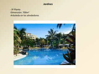 Jardines
- 3ª Planta
-Dimensión: 700m2
-Arboleda en los alrededores
 