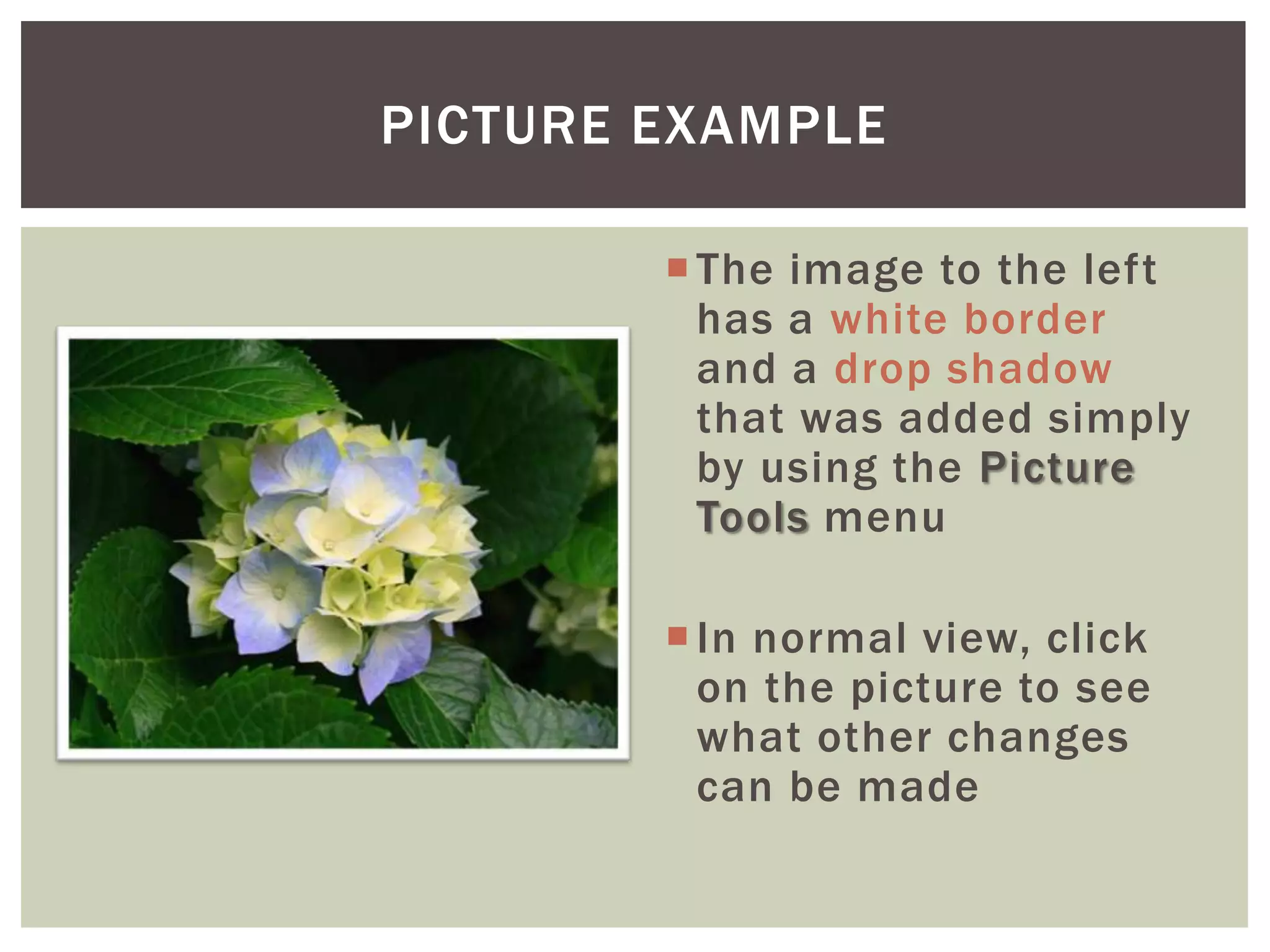PICTURE EXAMPLE

         The image to the left
          has a white border
          and a drop shadow
          that was added simply
          by using the Picture
          Tools menu

         In normal view, click
          on the picture to see
          what other changes
          can be made
 