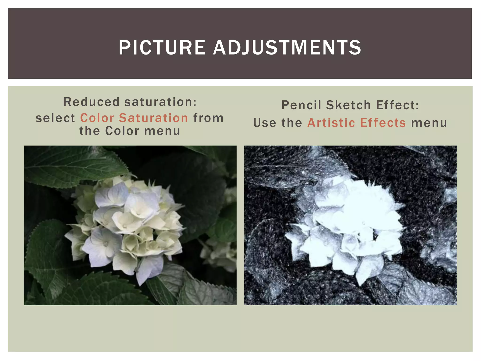 PICTURE ADJUSTMENTS

    Reduced saturation:            Pencil Sketch Ef fect:
select Color Saturation from   Use the Artistic Ef fects menu
       the Color menu
 
