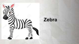 Zebra
 