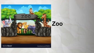 Zoo
 