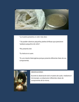 *La muestra presenta un color más claro.


* Se pueden observar pequeñas piedras brillosas que parecieran
“pedazos pequeños de vidrio”.


*No presenta olor.


*Su textura es suave.


*Es una mezcla heterogénea porque presenta diferentes fases de sus
componentes.




                 OBSERVACIONES:

                 Durante la observación de la muestra de suelo, mediante el
                 microscopio, se observaron diferentes clases de
                 componentes de la misma.
 