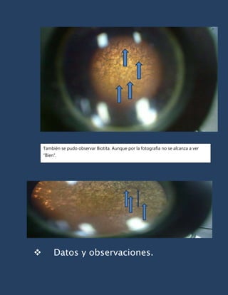También se pudo observar Biotita. Aunque por la fotografía no se alcanza a ver
    “Bien”.




        Datos y observaciones.
 