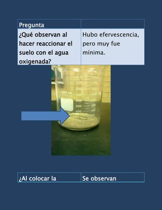Pregunta
¿Qué observan al      Hubo efervescencia,
hacer reaccionar el   pero muy fue
suelo con el agua     mínima.
oxigenada?




¿Al colocar la        Se observan
 