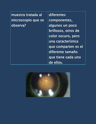 muestra tratada al   diferentes
microscopio que se   componentes,
observa?             algunos un poco
                     brillosos, otros de
                     color oscuro, pero
                     una característica
                     que comparten es el
                     diferente tamaño
                     que tiene cada uno
                     de ellos.
 