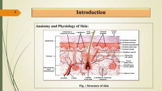 Introduction
Anatomy and Physiology of Skin:
4
Fig. : Structure of skin
 