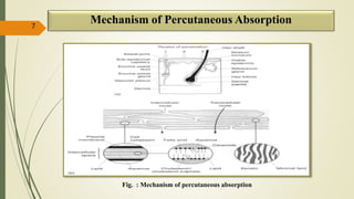 Mechanism of Percutaneous Absorption
Fig. : Mechanism of percutaneous absorption
7
 