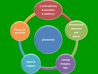 phonetics
1.articulatory
2.acoustic
3.auditory
consonants
(manner
and
place)
vowels
(tongue,
lips
speech
organs
Phonetic
symbols
 