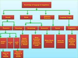 .
Sentence
Structure
acoust
ic
Phonetics Pragmatics
Language Usages
Syntax
Sounds
Knowledge of language & Linguistics
SemanticsMorphology
Words
Phonology
audit
ory
Articul
atory
Sound
systems
Rules for
Combinin
g Sound
Word
formation
Internal
Structure
meaning of
words
Whole Words
meaning
Rules for
Grammar
How
Context &
Situation
Affect
meaning
How we
say
Sounds
How we
perceive or
Hears
sounds
 