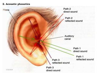 2. Acoustic phonetics
7/10/2014
 