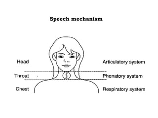Speech mechanism
 