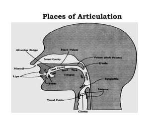Places of Articulation
 