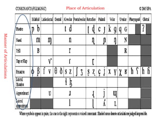 Place of Articulation
MannerofArticulations
 