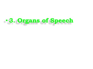 • 3. Organs of Speech
 