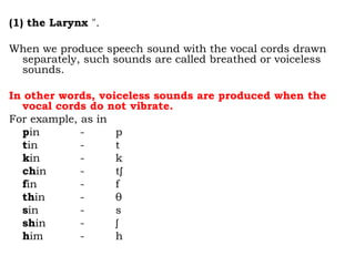 (1) the Larynx ".
When we produce speech sound with the vocal cords drawn
separately, such sounds are called breathed or voiceless
sounds.
In other words, voiceless sounds are produced when the
vocal cords do not vibrate.
For example, as in
pin - p
tin - t
kin - k
chin - tʃ
fin - f
thin - θ
sin - s
shin - ʃ
him - h
 