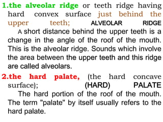 1.the alveolar ridge or teeth ridge having
hard convex surface just behind the
upper teeth; ALVEOLAR RIDGE
A short distance behind the upper teeth is a
change in the angle of the roof of the mouth.
This is the alveolar ridge. Sounds which involve
the area between the upper teeth and this ridge
are called alveolars.
2.the hard palate, (the hard concave
surface); (HARD) PALATE
The hard portion of the roof of the mouth.
The term "palate" by itself usually refers to the
hard palate.
 