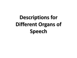 Descriptions for
Different Organs of
Speech
 