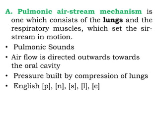 A. Pulmonic air-stream mechanism is
one which consists of the lungs and the
respiratory muscles, which set the sir-
stream in motion.
• Pulmonic Sounds
• Air flow is directed outwards towards
the oral cavity
• Pressure built by compression of lungs
• English [p], [n], [s], [l], [e]
 