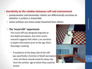 Development of action and perception | PPTX