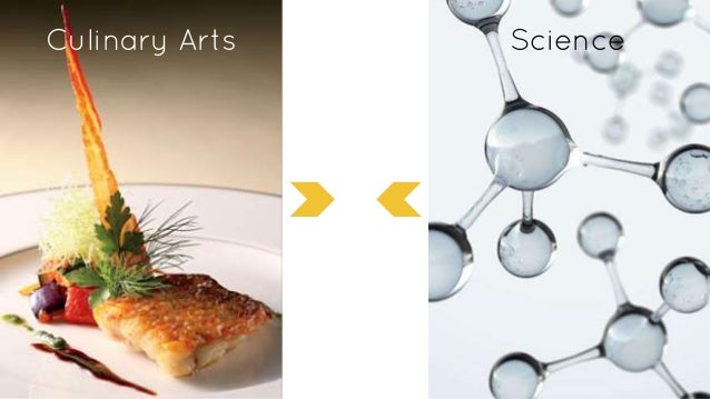 the modern cuisine movement the intersection of science and culinary arts 2 638