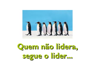 Quem não lidera,Quem não lidera,
segue o lider...segue o lider...
 