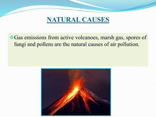 NATURAL CAUSES
Gas emissions from active volcanoes, marsh gas, spores of
fungi and pollens are the natural causes of air pollution.
 