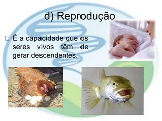 d) Reprodução
É a capacidade que os
seres vivos têm de
gerar descendentes.
 