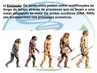 e) Evolução: Os seres vivos podem sofrer modificações ao
longo do tempo através de processos que os levam a uma
maior adaptação ao meio. Os ácidos nucléicos (DNA, RNA)
são fundamentais nos processos evolutivos.
 