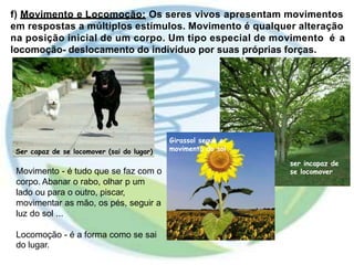f) Movimento e Locomoção: Os seres vivos apresentam movimentos
em respostas a múltiplos estímulos. Movimento é qualquer alteração
na posição inicial de um corpo. Um tipo especial de movimento é a
locomoção- deslocamento do indivíduo por suas próprias forças.
Girassol segue o
movimento do solSer capaz de se locomover (sai do lugar)
ser incapaz de
Movimento - é tudo que se faz com o
corpo. Abanar o rabo, olhar p um
lado ou para o outro, piscar,
movimentar as mão, os pés, seguir a
luz do sol ...
se locomover
Locomoção - é a forma como se sai
do lugar.
 