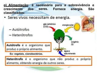 g) Alimentação: é necessária
seres.
para a sobrevivência e
crescimento
classificados:
dos Fornece energia. São
Ex: vegetais, cianobactérias.
 