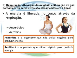 h) Respiração: Absorção do oxigênio e liberação de gás
carbônico. Os seres vivos são classificados em 2 tipos:
 