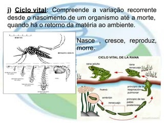 j) Ciclo vital: Compreende a variação recorrente
desde o nascimento de um organismo até a morte,
quando há o retorno da matéria ao ambiente.
Nasce
morre.
, cresce, reproduz,
 