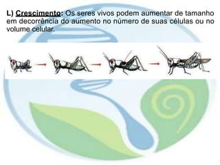 L) Crescimento: Os seres vivos podem aumentar de tamanho
em decorrência do aumento no número de suas células ou no
volume celular.
 