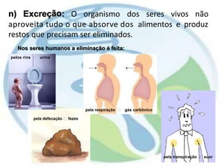 ãon) Excreç : O organismo dos seres vivos não
aproveita tudo o que absorve dos
restos que precisam ser eliminados.
alimentos e produz
Nos seres humanos a
pelos rins urina
eliminação é feita:
pela respiração gás carbônico
pela defecação fezes
pela transpiração suor
 