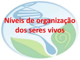 Níveis de organização
dos seres vivos
 