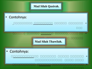 • Contohnya:
•
•
Mad Silah Qasirah.
• Contohnya:
•
•
Mad Silah Thawilah.
 