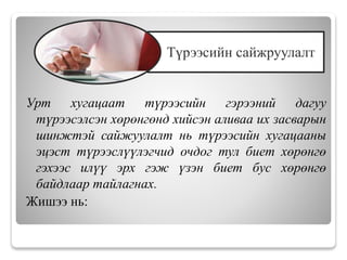 Урт хугацаат түрээсийн гэрээний дагуу
түрээсэлсэн хөрөнгөнд хийсэн аливаа их засварын
шинжтэй сайжуулалт нь түрээсийн хугацааны
эцэст түрээслүүлэгчид очдог тул биет хөрөнгө
гэхээс илүү эрх гэж үзэн биет бус хөрөнгө
байдлаар тайлагнах.
Жишээ нь:
Түрээсийн сайжруулалт
 