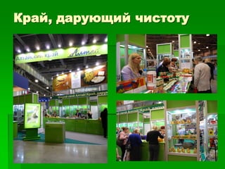 Край, дарующий чистоту
 