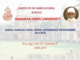 RURAL AGRICULTURAL WORK EXPERIENCE PROGRAMME
(R.A.W.E)
B.Sc. (Ag.), Part-IVth, Semester-Ist
2016-2017
INSTITUTE OFAGRICULTURAL
SCIENCE
BANARAS HINDU UNIVERSITY
 