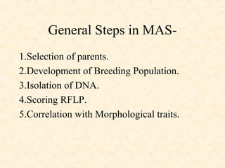 General Steps in MAS-
1.Selection of parents.
2.Development of Breeding Population.
3.Isolation of DNA.
4.Scoring RFLP.
5.Correlation with Morphological traits.
 