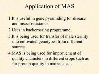 Application of MAS
1.It is useful in gene pyramiding for disease
and insect resistance.
2.Uses in backcrossing programme.
3.It is being used for transfer of male sterility
into cultivated genotypes from different
sources.
4.MAS is being used for improvement of
quality characters in different crops such as
for protein quality in maize, etc…
 