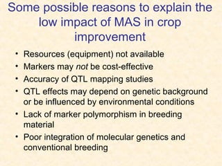 Some possible reasons to explain the
low impact of MAS in crop
improvement
• Resources (equipment) not available
• Markers may not be cost-effective
• Accuracy of QTL mapping studies
• QTL effects may depend on genetic background
or be influenced by environmental conditions
• Lack of marker polymorphism in breeding
material
• Poor integration of molecular genetics and
conventional breeding
 