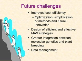 Future challenges
• Improved cost-efficiency
– Optimization, simplification
of methods and future
innovation
• Design of efficient and effective
MAS strategies
• Greater integration between
molecular genetics and plant
breeding
• Data management
 