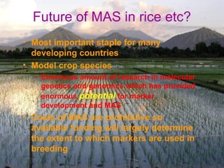 Future of MAS in rice etc?
• Most important staple for many
developing countries
• Model crop species
– Enormous amount of research in molecular
genetics and genomics which has provided
enormous potential for marker
development and MAS
• Costs of MAS are prohibitive so
available funding will largely determine
the extent to which markers are used in
breeding
 