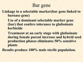 Bar gene
Linkage to a selectable marker(bar gene linked to
barnase gene)
Use of a dominant selectable marker gene
(bar) that confers tolerance to glufosinate
herbicide
Treatment at an early stage with glufosinate
during female parent increase and hybrid seed
production phases eliminates 50% sensitive
plants
Results produce 100% male sterile population.
 