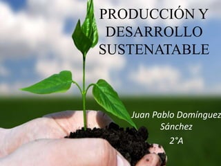 PRODUCCIÓN Y
DESARROLLO
SUSTENATABLE
Juan Pablo Domínguez
Sánchez
2°A
 