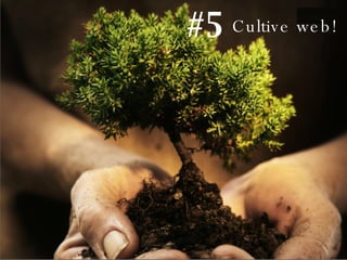 Cultive web! #5 