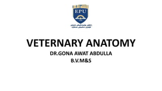 VETERNARY ANATOMY
DR.GONA AWAT ABDULLA
B.V.M&S
 