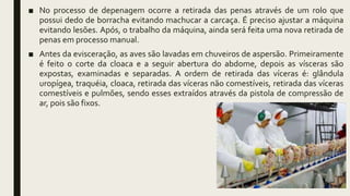 ■ No processo de depenagem ocorre a retirada das penas através de um rolo que
possui dedo de borracha evitando machucar a carcaça. É preciso ajustar a máquina
evitando lesões. Após, o trabalho da máquina, ainda será feita uma nova retirada de
penas em processo manual.
■ Antes da evisceração, as aves são lavadas em chuveiros de aspersão. Primeiramente
é feito o corte da cloaca e a seguir abertura do abdome, depois as vísceras são
expostas, examinadas e separadas. A ordem de retirada das víceras é: glândula
uropígea, traquéia, cloaca, retirada das víceras não comestíveis, retirada das víceras
comestíveis e pulmões, sendo esses extraídos através da pistola de compressão de
ar, pois são fixos.
 
